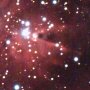 La n�buleuse du C�ne, NGC2264
